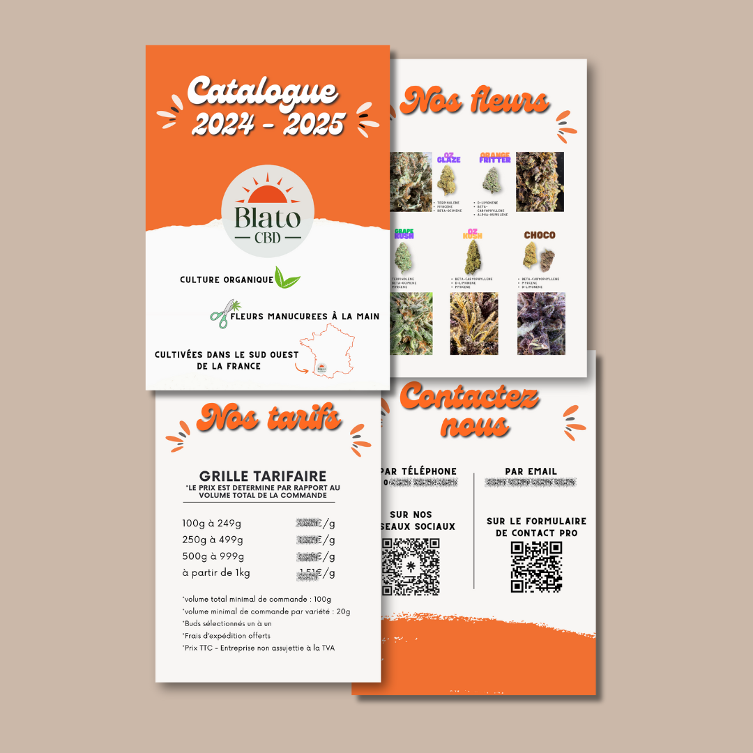 Conception de votre catalogue produit professionnel